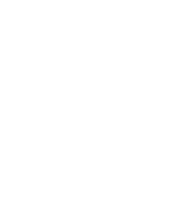 Icon for TikTok
